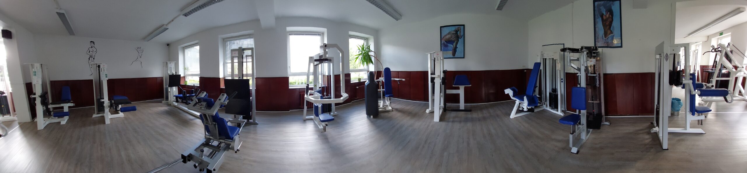 Cardio- und Trainingsgeräte